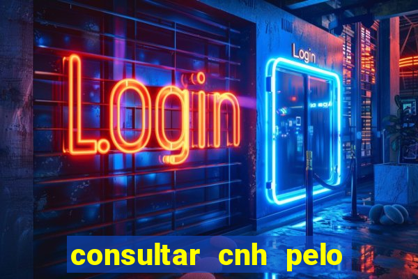 consultar cnh pelo cpf sp